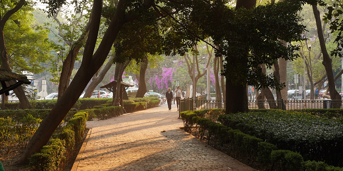 Las mejores zonas para vivir en CDMX_05