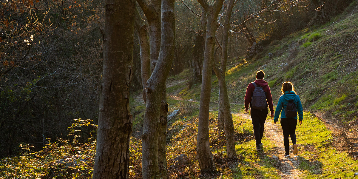 The importance of living among nature