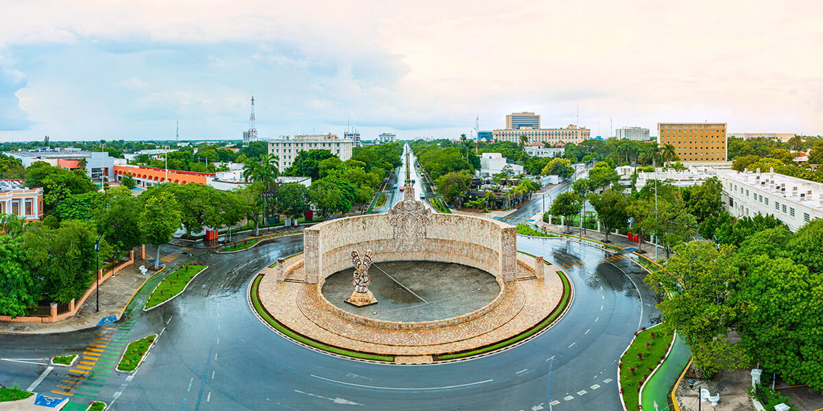 Los 5 árboles más bellos de Yucatán